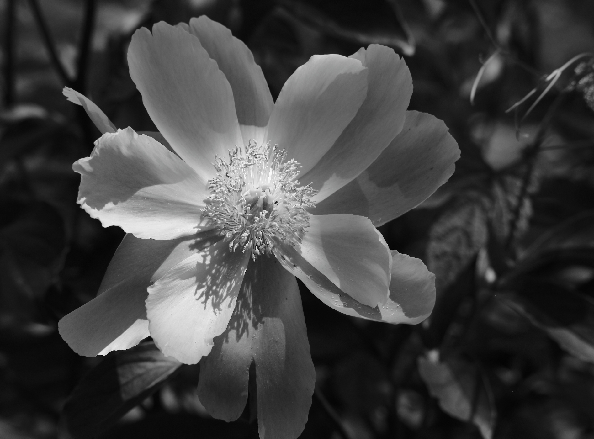 2019 06 02 HTP 50455ebw